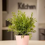 Flats Friends Soho דירה ולנסיה